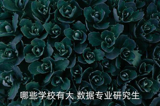 哪些學(xué)校有大 數(shù)據(jù)專業(yè)研究生