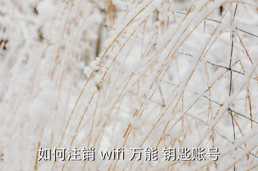 wifi萬能鑰匙怎么清除數(shù)據(jù),WiFi萬能鑰匙沒有數(shù)據(jù)