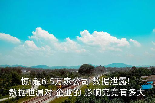 驚!超6.5萬家公司 數(shù)據(jù)泄露! 數(shù)據(jù)泄漏對 企業(yè)的 影響究竟有多大