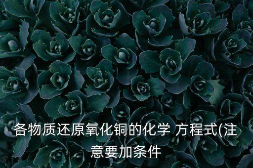 各物質(zhì)還原氧化銅的化學(xué) 方程式(注意要加條件