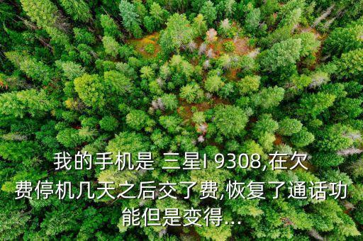 我的手機是 三星I 9308,在欠費停機幾天之后交了費,恢復了通話功能但是變得...