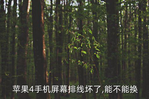  蘋果4手機屏幕排線壞了,能不能換