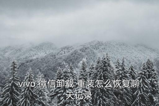 vivo 微信卸載 重裝怎么恢復(fù)聊天記錄