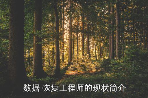 數(shù)據(jù)恢復行業(yè)前景