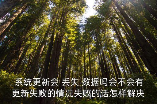  系統(tǒng)更新會 丟失 數(shù)據(jù)嗎會不會有更新失敗的情況失敗的話怎樣解決
