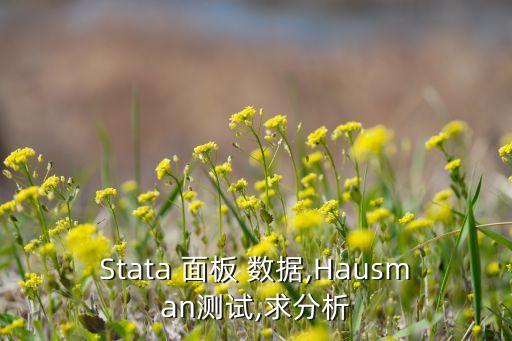 面板數(shù)據(jù)  白仲.,stata面板數(shù)據(jù)