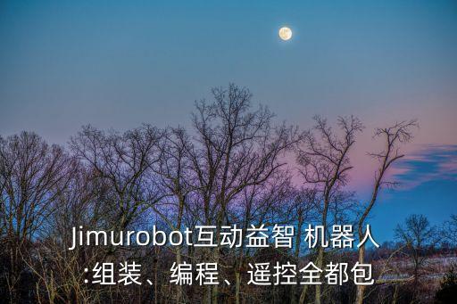 零件拼裝機(jī)器人,樂(lè)高拼裝小型機(jī)器人