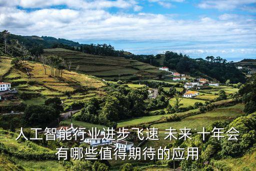 人工智能行業(yè)進步飛速 未來 十年會有哪些值得期待的應(yīng)用
