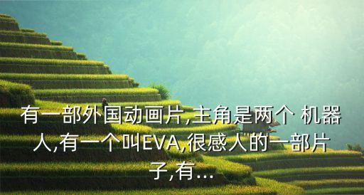 有一部外國動畫片,主角是兩個 機器人,有一個叫EVA,很感人的一部片子,有...