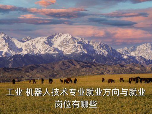 工業(yè) 機器人技術(shù)專業(yè)就業(yè)方向與就業(yè)崗位有哪些