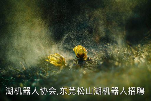 松山湖機器人協(xié)會,東莞松山湖機器人招聘
