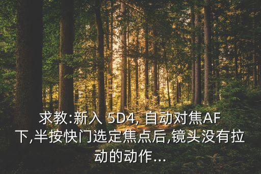 求教:新入 5D4, 自動對焦AF下,半按快門選定焦點(diǎn)后,鏡頭沒有拉動的動作...