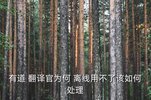 有道 翻譯官為何 離線用不了該如何處理