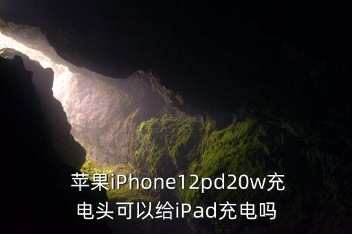  蘋果iPhone12pd20w充電頭可以給iPad充電嗎