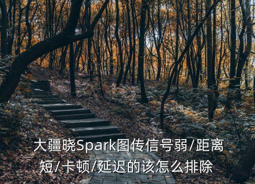 大疆?dāng)?shù)據(jù)分析多長(zhǎng)時(shí)間,spss數(shù)據(jù)分析需要多長(zhǎng)時(shí)間