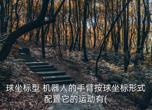機(jī)器人滾動(dòng)球體用什么結(jié)構(gòu)好