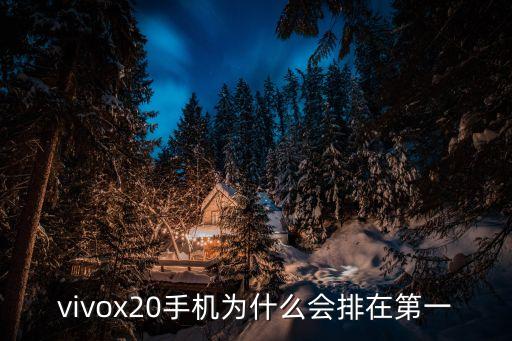 vivox20手機為什么會排在第一