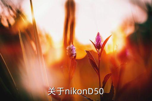 關(guān)于nikonD50
