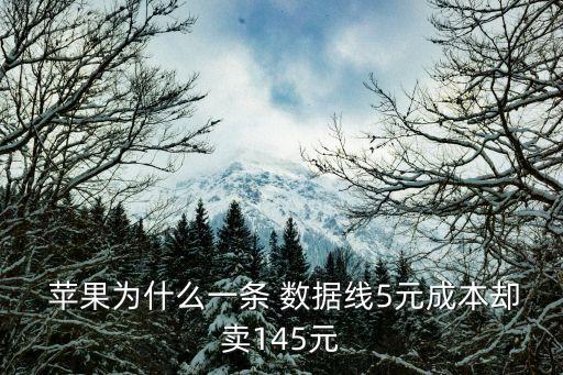 蘋果手表數(shù)據(jù)線多少錢