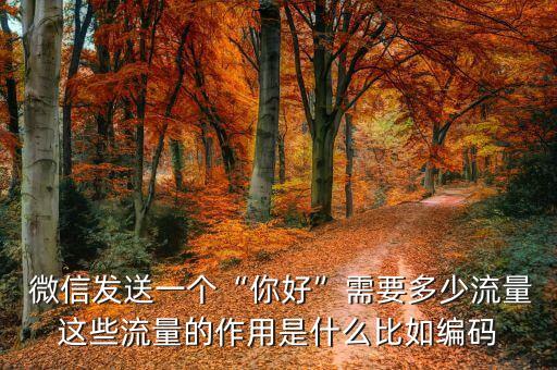微信 數(shù)據(jù)量,微信數(shù)據(jù)量儲存大了電腦會卡頓嗎