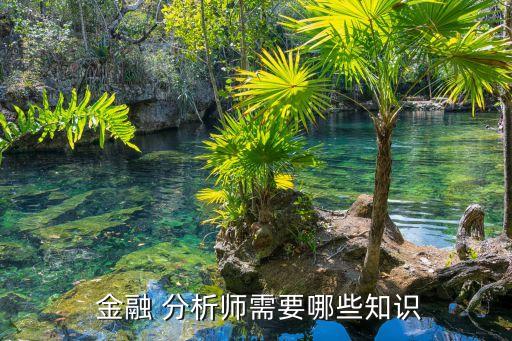  金融 分析師需要哪些知識