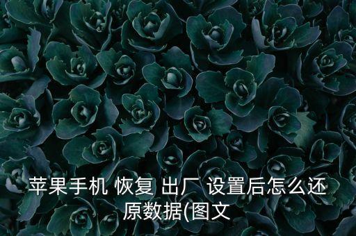 蘋果手機(jī) 恢復(fù) 出廠 設(shè)置后怎么還原數(shù)據(jù)(圖文