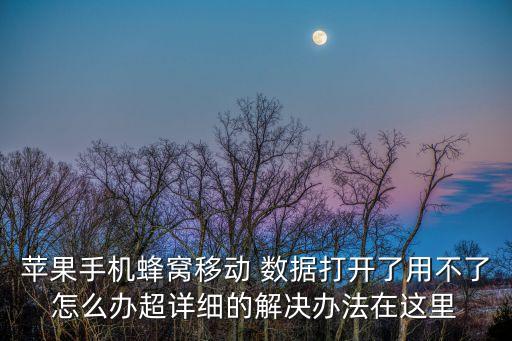 蘋果手機(jī)蜂窩移動(dòng) 數(shù)據(jù)打開了用不了怎么辦超詳細(xì)的解決辦法在這里