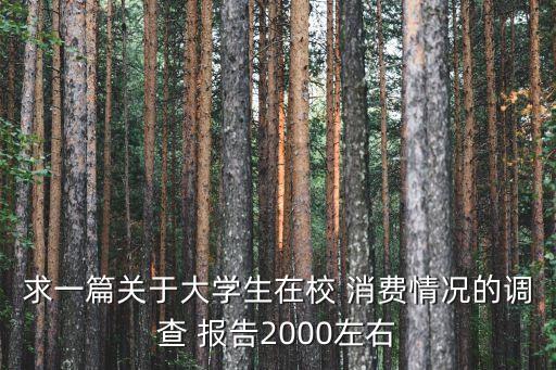 求一篇關于大學生在校 消費情況的調(diào)查 報告2000左右