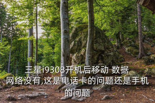  三星i9308開機(jī)后移動(dòng) 數(shù)據(jù) 網(wǎng)絡(luò)沒有,這是電話卡的問題還是手機(jī)的問題