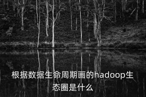 根據(jù)數(shù)據(jù)生命周期畫的hadoop生態(tài)圈是什么