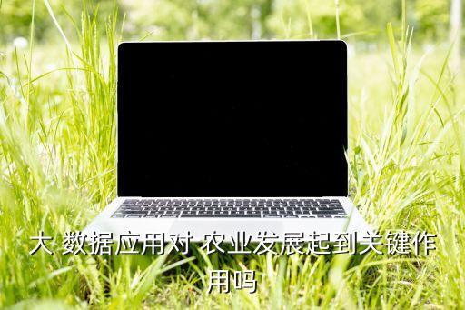 大數(shù)據(jù)與農(nóng)業(yè)