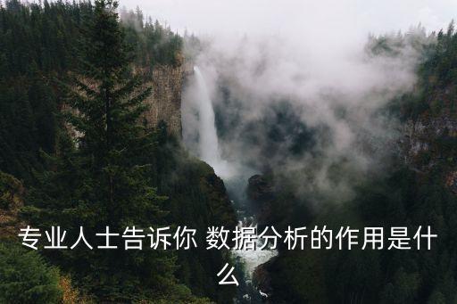 專業(yè)人士告訴你 數(shù)據(jù)分析的作用是什么