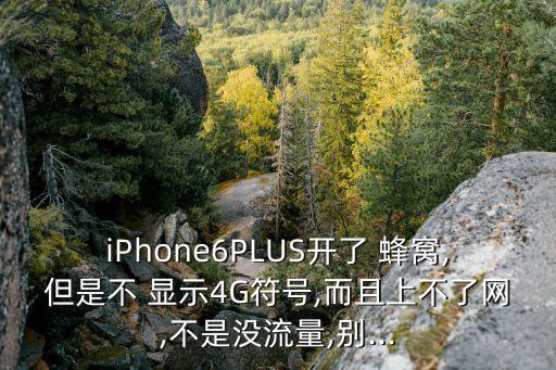 iPhone6PLUS開了 蜂窩,但是不 顯示4G符號,而且上不了網(wǎng),不是沒流量,別...