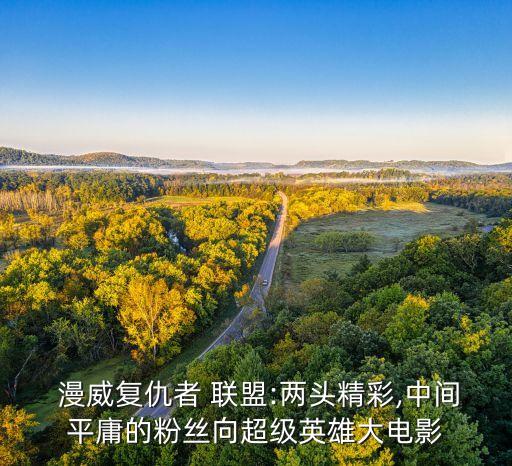  漫威復(fù)仇者 聯(lián)盟:兩頭精彩,中間平庸的粉絲向超級英雄大電影