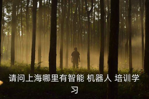 請(qǐng)問上海哪里有智能 機(jī)器人 培訓(xùn)學(xué)習(xí)