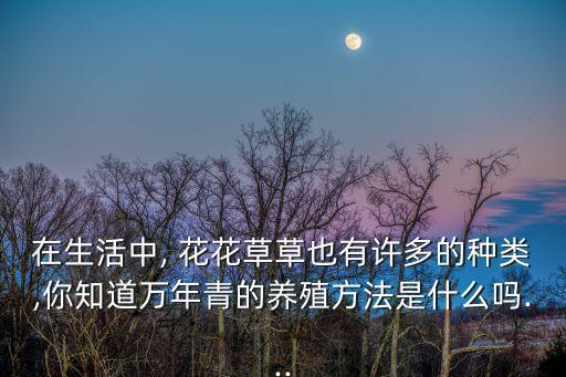 在生活中, 花花草草也有許多的種類,你知道萬年青的養(yǎng)殖方法是什么嗎...