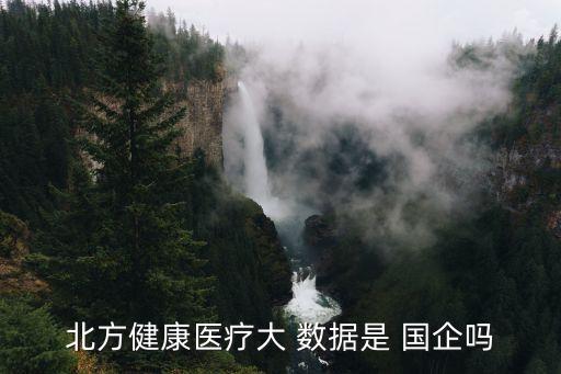 北方健康醫(yī)療大 數(shù)據(jù)是 國(guó)企嗎