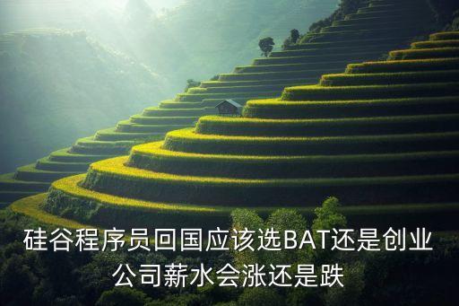 硅谷程序員回國應(yīng)該選BAT還是創(chuàng)業(yè)公司薪水會漲還是跌
