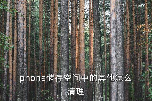 iphone儲存空間中的其他怎么 清理