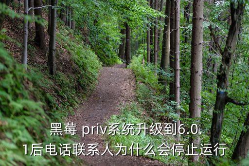  黑莓 priv系統(tǒng)升級(jí)到6.0.1后電話聯(lián)系人為什么會(huì)停止運(yùn)行