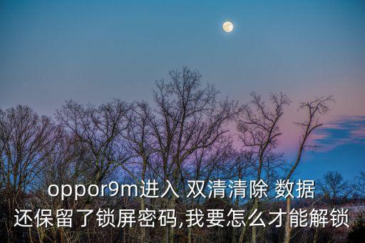 oppor9m進入 雙清清除 數(shù)據(jù)還保留了鎖屏密碼,我要怎么才能解鎖