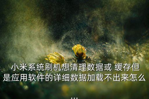  小米系統(tǒng)刷機(jī)想清理數(shù)據(jù)或 緩存但是應(yīng)用軟件的詳細(xì)數(shù)據(jù)加載不出來(lái)怎么...