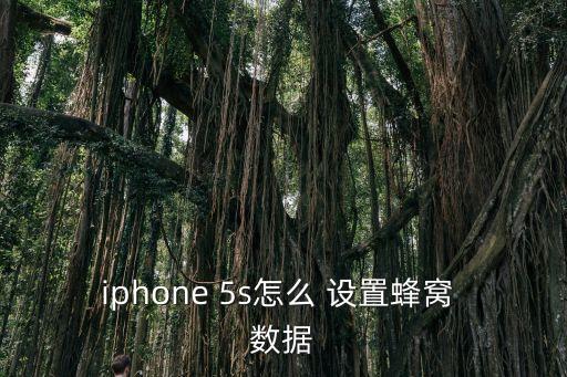 蘋果5s怎么用數(shù)據(jù)上網(wǎng)設(shè)置