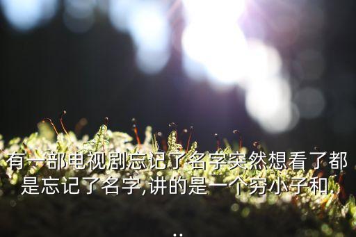 有一部電視劇忘記了名字突然想看了都是忘記了名字,講的是一個(gè)窮小子和...