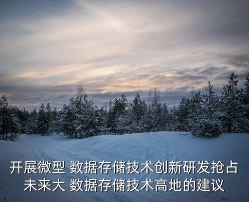 國(guó)外海量數(shù)據(jù)壓縮