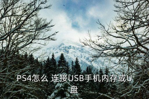 ps4連接電腦傳輸數(shù)據(jù)