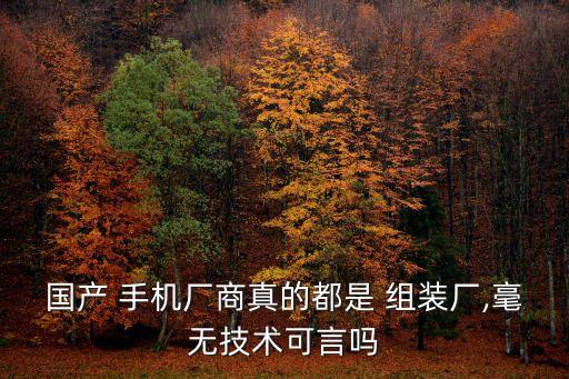 國(guó)產(chǎn) 手機(jī)廠商真的都是 組裝廠,毫無(wú)技術(shù)可言嗎
