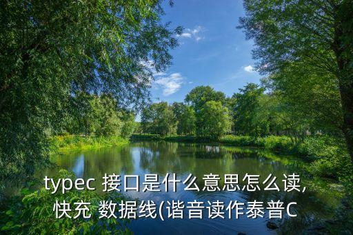 typec 接口是什么意思怎么讀,快充 數(shù)據(jù)線(諧音讀作泰普C