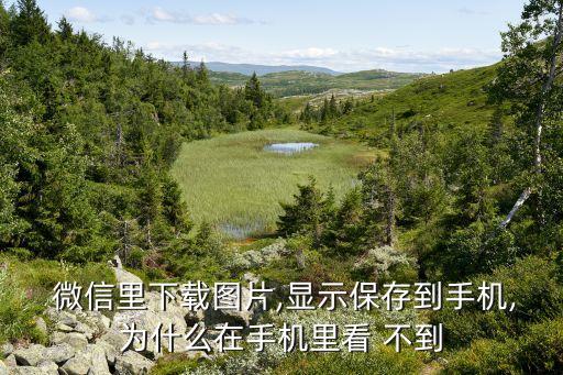  微信里下載圖片,顯示保存到手機(jī),為什么在手機(jī)里看 不到