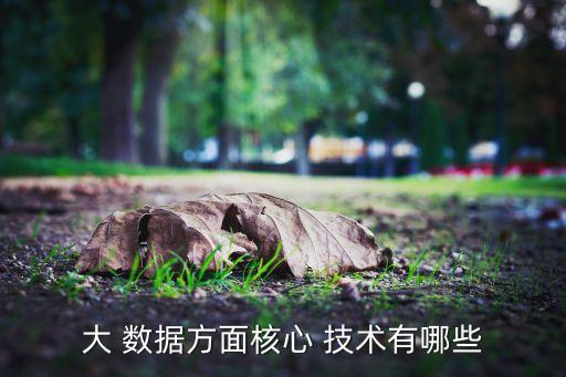 大 數(shù)據(jù)方面核心 技術(shù)有哪些